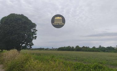 𝟔𝟎 𝐇𝐄𝐂𝐓𝐀𝐑𝐄𝐒 𝐀𝐆𝐑𝐈-𝐑𝐄𝐒𝐈𝐃𝐄𝐍𝐓𝐈𝐀𝐋 𝐋𝐎𝐓 𝐅𝐎𝐑 𝐒𝐀𝐋𝐄 @ 𝐁𝐑𝐆𝐘. 𝐒𝐀𝐍 𝐈𝐒𝐈𝐃𝐑𝐎, 𝐆𝐄𝐍𝐄𝐑𝐀𝐋 𝐒𝐀𝐍𝐓𝐎𝐒 𝐂𝐈𝐓𝐘