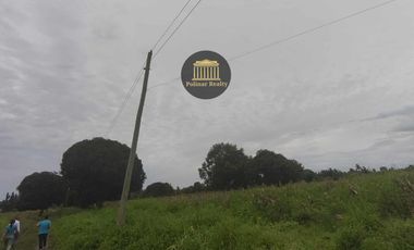 𝟔𝟎 𝐇𝐄𝐂𝐓𝐀𝐑𝐄𝐒 𝐀𝐆𝐑𝐈-𝐑𝐄𝐒𝐈𝐃𝐄𝐍𝐓𝐈𝐀𝐋 𝐋𝐎𝐓 𝐅𝐎𝐑 𝐒𝐀𝐋𝐄 @ 𝐁𝐑𝐆𝐘. 𝐒𝐀𝐍 𝐈𝐒𝐈𝐃𝐑𝐎, 𝐆𝐄𝐍𝐄𝐑𝐀𝐋 𝐒𝐀𝐍𝐓𝐎𝐒 𝐂𝐈𝐓𝐘