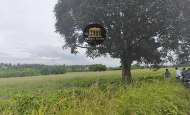 𝟔𝟎 𝐇𝐄𝐂𝐓𝐀𝐑𝐄𝐒 𝐀𝐆𝐑𝐈-𝐑𝐄𝐒𝐈𝐃𝐄𝐍𝐓𝐈𝐀𝐋 𝐋𝐎𝐓 𝐅𝐎𝐑 𝐒𝐀𝐋𝐄 @ 𝐁𝐑𝐆𝐘. 𝐒𝐀𝐍 𝐈𝐒𝐈𝐃𝐑𝐎, 𝐆𝐄𝐍𝐄𝐑𝐀𝐋 𝐒𝐀𝐍𝐓𝐎𝐒 𝐂𝐈𝐓𝐘