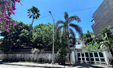 1,003 sqm Prime Lot FOR SALE Ideal for Townhouse Development in New Manila, QC