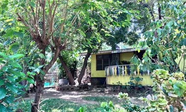 1,003 sqm Prime Lot FOR SALE Ideal for Townhouse Development in New Manila, QC