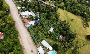 Commercial Lot for Lease - Tawala, Panglao, Bohol