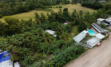 Commercial Lot for Lease - Tawala, Panglao, Bohol