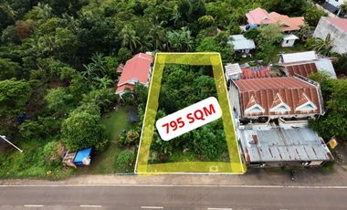 Commercial Lot for Lease - Danao, Panglao, Bohol