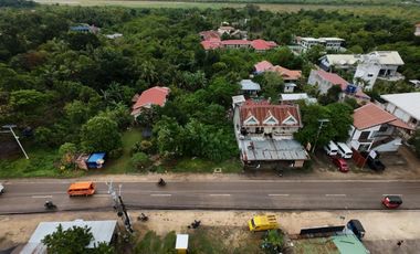 Commercial Lot for Lease - Danao, Panglao, Bohol