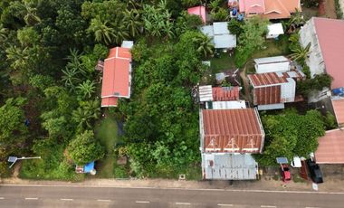 Commercial Lot for Lease - Danao, Panglao, Bohol