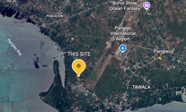 Commercial Lot for Lease - Danao, Panglao, Bohol