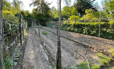 Cómoda casa en maravillosa parcela, seguro loteo en Paine