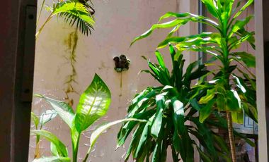 CASA EN VENTA EN BOCA DEL RIO