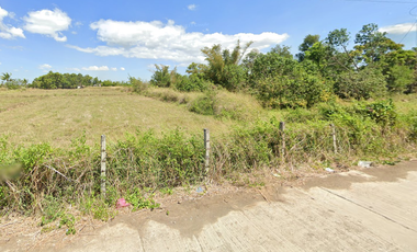 FOR SALE - Agricultural Lot in Gapan, Nueva Ecija
