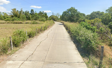 FOR SALE - Agricultural Lot in Gapan, Nueva Ecija