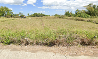 FOR SALE - Agricultural Lot in Gapan, Nueva Ecija
