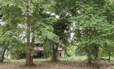 Western-Style Vacation Home for Sale on Spacious Land in Ban Rai Subdistrict, Uthai Thani