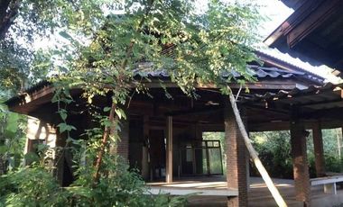 Western-Style Vacation Home for Sale on Spacious Land in Ban Rai Subdistrict, Uthai Thani