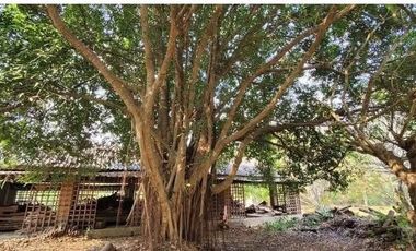 Western-Style Vacation Home for Sale on Spacious Land in Ban Rai Subdistrict, Uthai Thani