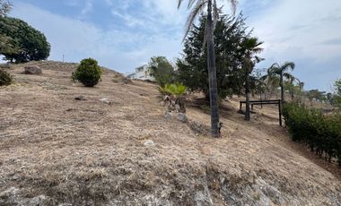 Terreno Habitacional, Lote 87, Ubicado en Residencial Lomas de Angelópolis, San Andrés Cholula