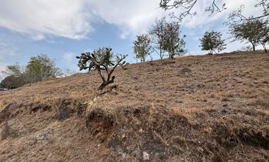 Terreno Habitacional, Lote 87, Ubicado en Residencial Lomas de Angelópolis, San Andrés Cholula