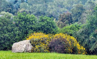 Acogedora Casa en Condominio con acceso a Playa en Lago Ranco
