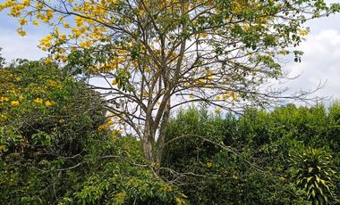 Casa campestre, Cerrítos,