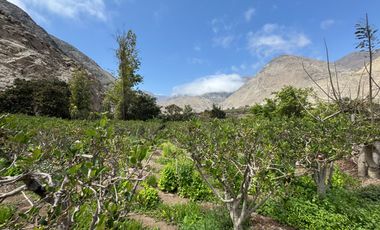 Oportunidad de inversión - Venta de Terrenos Agrícolas – Calango, La Capilla