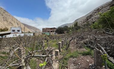 Oportunidad de inversión - Venta de Terrenos Agrícolas – Calango, La Capilla