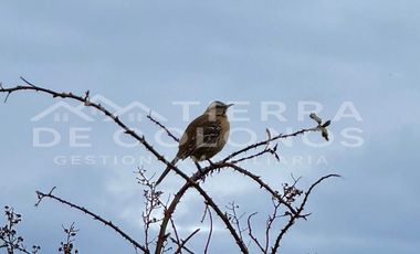 COD-553 Arriendo casa 4 D 3 B Frutillar Bajo