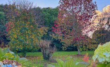 COD-553 Arriendo casa 4 D 3 B Frutillar Bajo