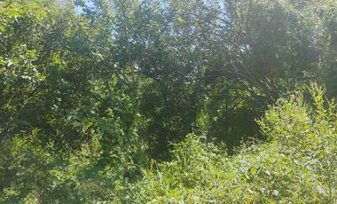 Terreno en Mermejita Mazunte Oaxaca. 5000 M2.