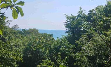Terreno en Mermejita Mazunte Oaxaca. 5000 M2.