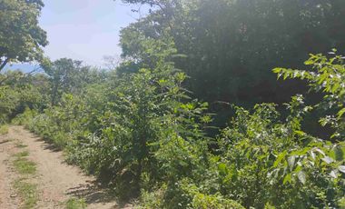 Terreno en Mermejita Mazunte Oaxaca. 5000 M2.