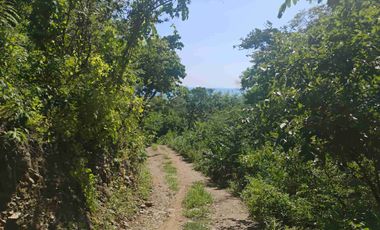 Terreno en Mermejita Mazunte Oaxaca. 5000 M2.