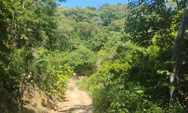 Terreno en Mermejita Mazunte Oaxaca. 5000 M2.