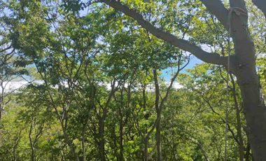 Terreno en Mermejita Mazunte Oaxaca. 5000 M2.