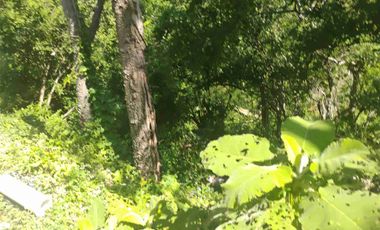 Terreno en Mermejita Mazunte Oaxaca. 5000 M2.