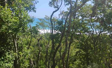 Terreno en Mermejita Mazunte Oaxaca. 5000 M2.