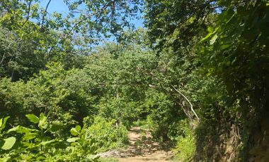Terreno en Mermejita Mazunte Oaxaca. 5000 M2.