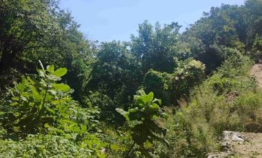 Terreno en Mermejita Mazunte Oaxaca. 5000 M2.