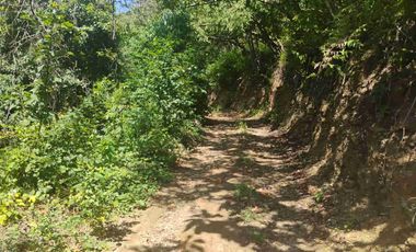 Terreno en Mermejita Mazunte Oaxaca. 5000 M2.