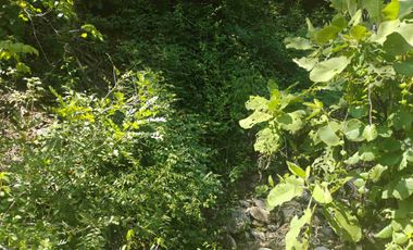 Terreno en Mermejita Mazunte Oaxaca. 5000 M2.