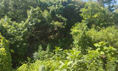 Terreno en Mermejita Mazunte Oaxaca. 5000 M2.