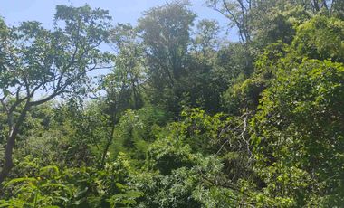 Terreno en Mermejita Mazunte Oaxaca. 5000 M2.