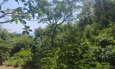 Terreno en Mermejita Mazunte Oaxaca. 5000 M2.