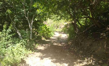 Terreno en Mermejita Mazunte Oaxaca. 5000 M2.