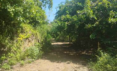 Terreno en Mermejita Mazunte Oaxaca. 5000 M2.