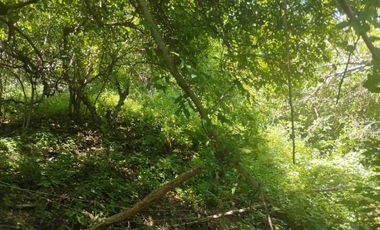 Terreno en Mermejita Mazunte Oaxaca. 5000 M2.