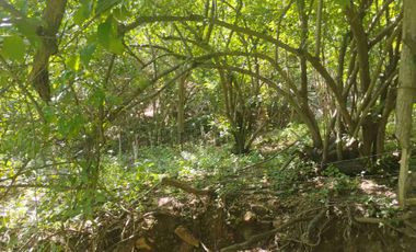 Terreno en Mermejita Mazunte Oaxaca. 5000 M2.