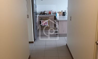 SE VENDE DEPARTAMENTO 3D/1B, SECTOR SAN JUAN, COQUIMBO