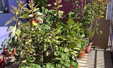 Se vende casa en Vallenar