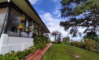 Finca Vía Pereira - Armenia