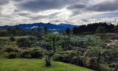 Finca Vía Pereira - Armenia
